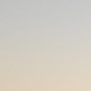 Meet your Posher, Lilliana